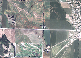 Unfiltered color image Unfiltered color image